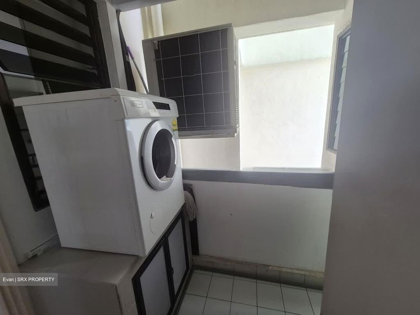 The Tanamera (D16), Condominium #548605571